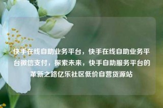 快手在线自助业务平台，快手在线自助业务平台微信支付，探索未来，快手自助服务平台的革新之路亿乐社区低价自营货源站
