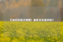 大涨后的首次调整！是机会还是风险？