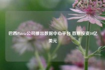 巴西Patria公司推出数据中心平台 首期投资10亿美元