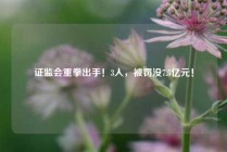 证监会重拳出手！3人，被罚没7.5亿元！