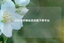 小红书秒刷业务自助下单平台