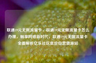 联通19元无限流量卡，联通19元无限流量卡怎么办理，畅享网络新时代，联通19元无限流量卡全面解析亿乐社区低价自营货源站