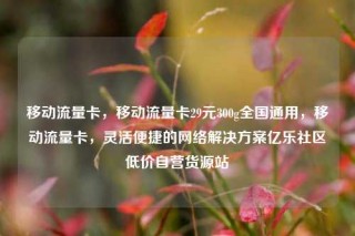 移动流量卡，移动流量卡29元300g全国通用，移动流量卡，灵活便捷的网络解决方案亿乐社区低价自营货源站