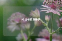 小红书转发兼职