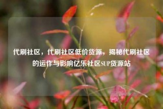 代刷社区，代刷社区低价货源，揭秘代刷社区的运作与影响亿乐社区SUP货源站