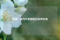 俄媒：俄乌代表团抵达谈判会场