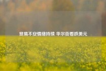 贸易不安情绪持续 华尔街看跌美元