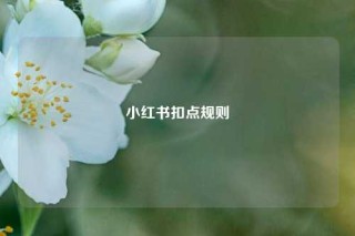 小红书扣点规则