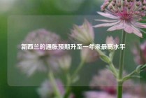 新西兰的通胀预期升至一年来最高水平