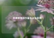 哔哩哔哩创作服务平台官网