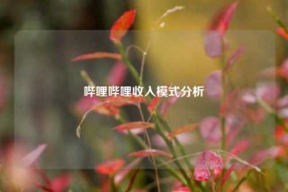 哔哩哔哩收入模式分析