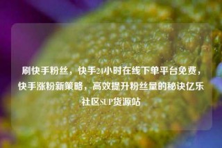 刷快手粉丝，快手24小时在线下单平台免费，快手涨粉新策略，高效提升粉丝量的秘诀亿乐社区SUP货源站