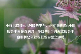小红书阅读24小时服务平台，小红书阅读24小时服务平台是真的吗，小红书24小时阅读服务平台解析亿乐社区低价自营货源站