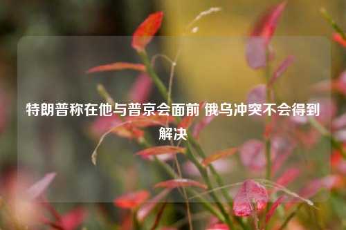 特朗普称在他与普京会面前 俄乌冲突不会得到解决  第1张