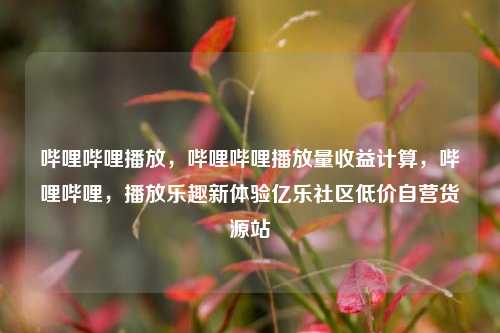 哔哩哔哩播放	，哔哩哔哩播放量收益计算，哔哩哔哩，播放乐趣新体验亿乐社区低价自营货源站  第1张