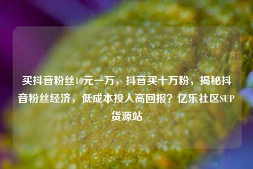买抖音粉丝10元一万，抖音买十万粉	，揭秘抖音粉丝经济，低成本投入高回报？亿乐社区SUP货源站  第1张