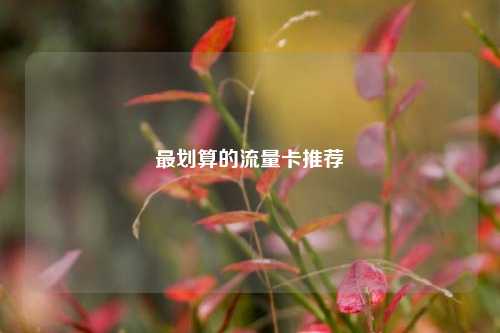 最划算的流量卡推荐  第1张