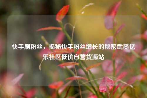 快手刷粉丝，揭秘快手粉丝增长的秘密武器亿乐社区低价自营货源站  第1张