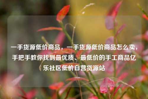 一手货源低价商品，一手货源低价商品怎么卖	，手把手教你找到最优质	、最低价的手工商品亿乐社区低价自营货源站  第1张