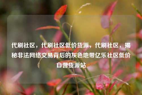 代刷社区，代刷社区低价货源	，代刷社区，揭秘非法网络交易背后的灰色地带亿乐社区低价自营货源站  第1张