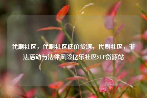 代刷社区	，代刷社区低价货源，代刷社区，非法活动与法律风险亿乐社区SUP货源站  第1张
