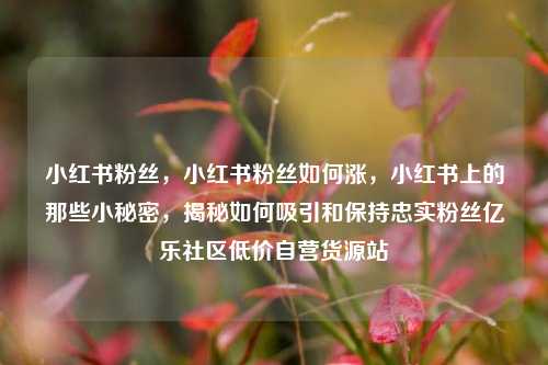 小红书粉丝，小红书粉丝如何涨	，小红书上的那些小秘密，揭秘如何吸引和保持忠实粉丝亿乐社区低价自营货源站  第1张