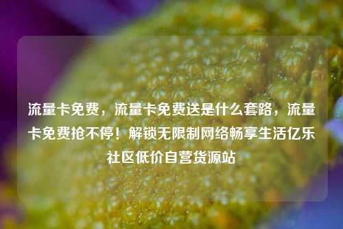 流量卡免费，流量卡免费送是什么套路，流量卡免费抢不停！解锁无限制网络畅享生活亿乐社区低价自营货源站  第1张