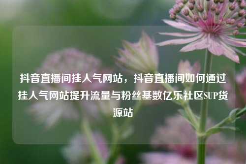 抖音直播间挂人气网站	，抖音直播间如何通过挂人气网站提升流量与粉丝基数亿乐社区SUP货源站  第1张