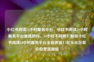 小红书阅读24小时服务平台，小红书阅读24小时服务平台是真的吗，24小时不间断！解锁小红书阅读24小时服务平台全新体验！亿乐社区低价自营货源站