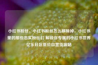 小红书粉丝，小红书粉丝怎么移除掉，小红书里的那些忠实粉丝们 解锁你专属的小红书世界亿乐社区低价自营货源站