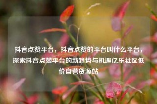 抖音点赞平台，抖音点赞的平台叫什么平台，探索抖音点赞平台的新趋势与机遇亿乐社区低价自营货源站