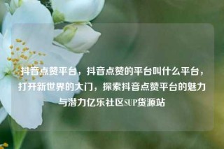 抖音点赞平台，抖音点赞的平台叫什么平台，打开新世界的大门，探索抖音点赞平台的魅力与潜力亿乐社区SUP货源站
