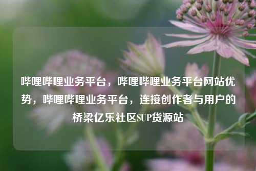 哔哩哔哩业务平台	，哔哩哔哩业务平台网站优势，哔哩哔哩业务平台，连接创作者与用户的桥梁亿乐社区SUP货源站  第1张
