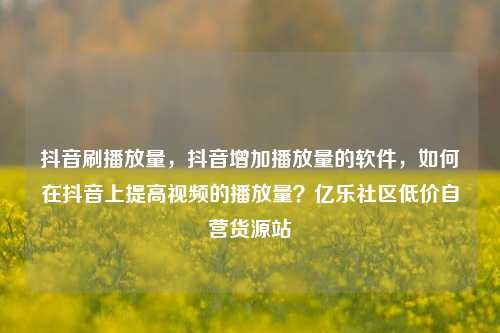 抖音刷播放量，抖音增加播放量的软件，如何在抖音上提高视频的播放量？亿乐社区低价自营货源站  第1张
