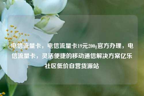 电信流量卡，电信流量卡19元200g官方办理	，电信流量卡，灵活便捷的移动通信解决方案亿乐社区低价自营货源站  第1张