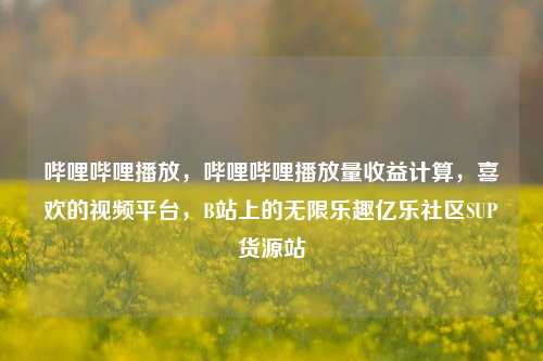 哔哩哔哩播放	，哔哩哔哩播放量收益计算，喜欢的视频平台，B站上的无限乐趣亿乐社区SUP货源站  第1张