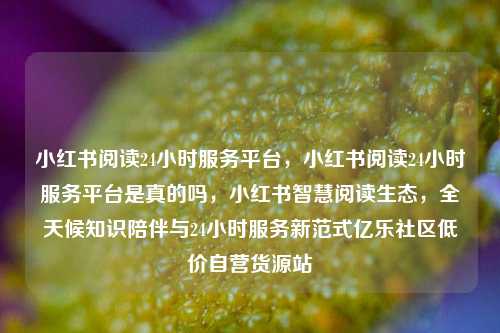 小红书阅读24小时服务平台	，小红书阅读24小时服务平台是真的吗，小红书智慧阅读生态，全天候知识陪伴与24小时服务新范式亿乐社区低价自营货源站  第1张